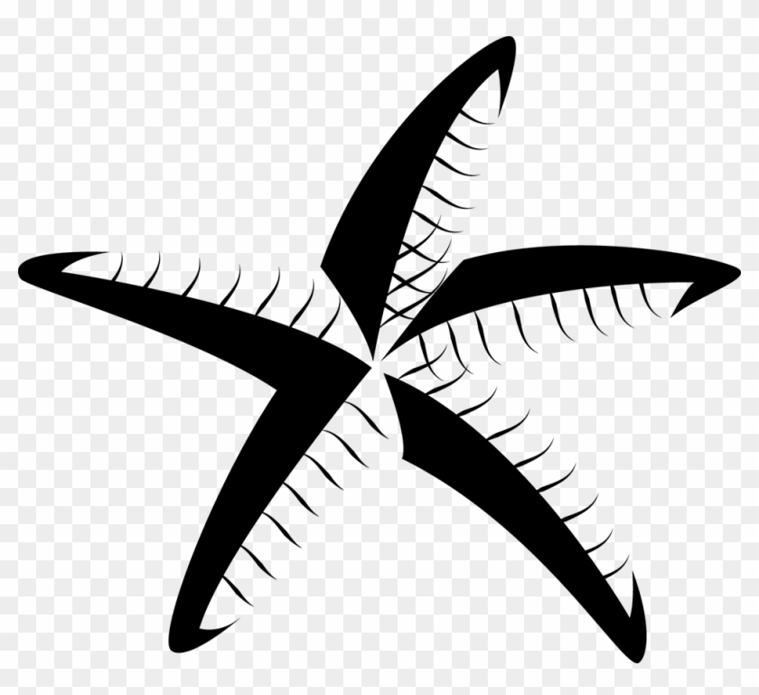 Starfish Textiles - Privacy Policy #315600