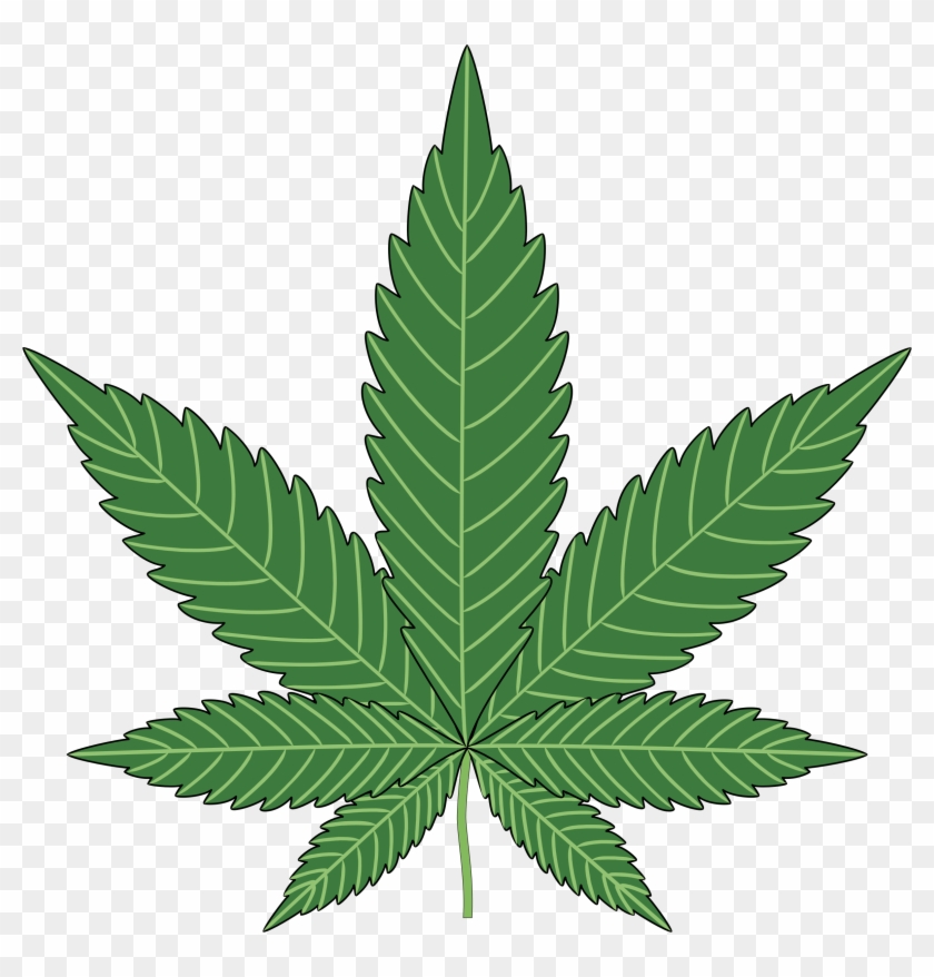Big Image - Marijuana Png #315616