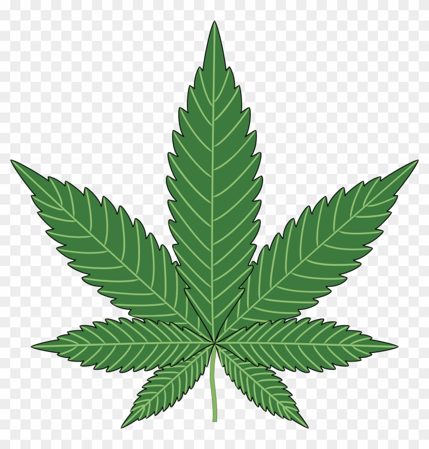 Big Image - Marijuana Png #315616