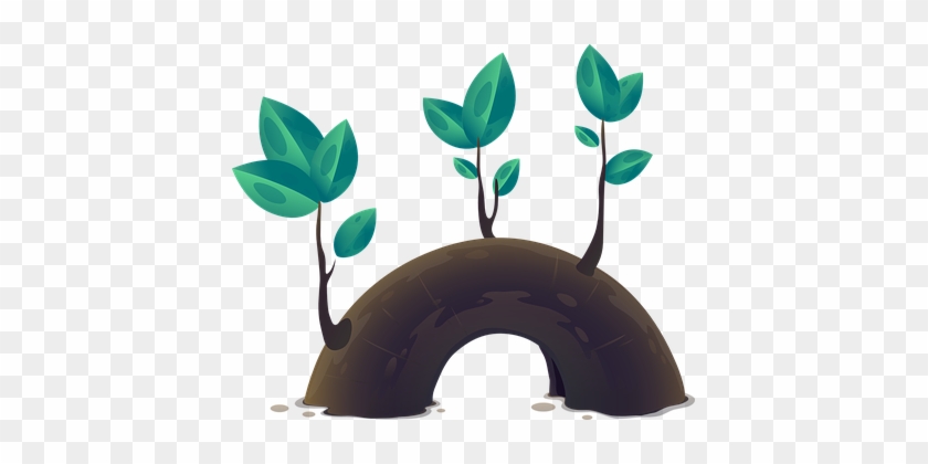 Plant Leaves Growth Tree Nature Green Envi - Φυλλάδια Προπαιδειασ #315636