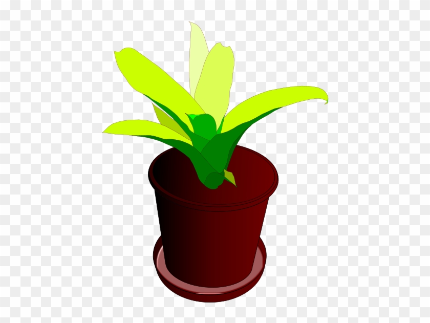 Pot, Flower Pot, Plant Pot, Green - Vaso De Planta Desenho #315644