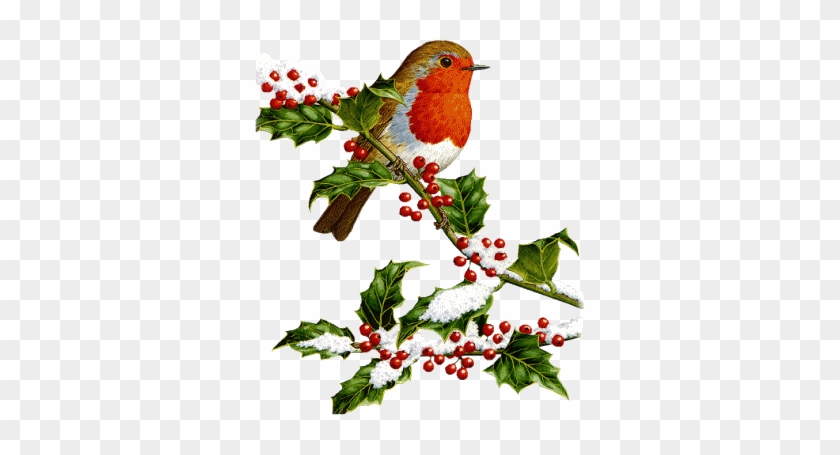 Clip Art - Vintage Christmas Bird Clip Art #315649