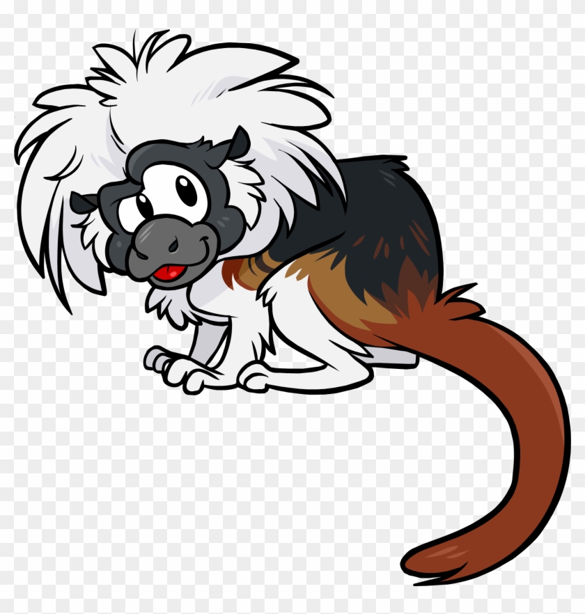 Cotton Top Tamarin - Cotton Top Tamarin Clipart #315743