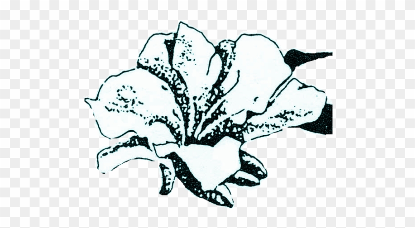 Illustration #315757