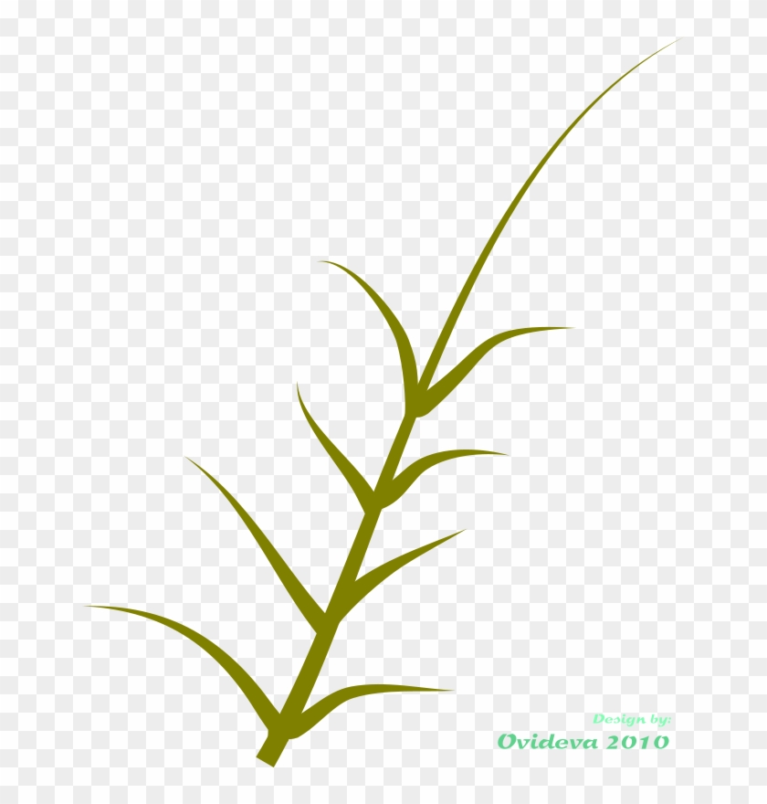 Green Plant Clipart - Clip Art #315818