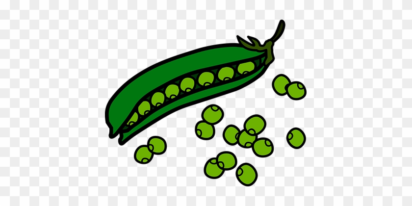 Eat Eating Essen Nahrung Food Peas Pod Pea - Peas Clipart #315826