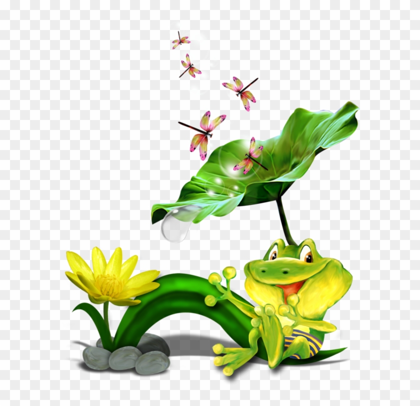 Grenouilles,frog,tube - Sacred Lotus #316059