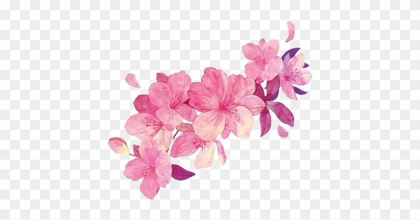 点击查看源网页 - Orchid Watercolor Pink Png #316081