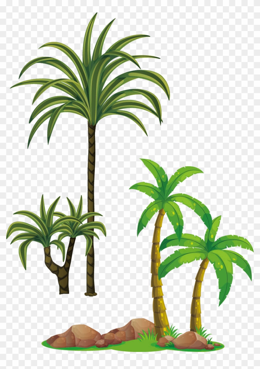 Tree Arecaceae Clip Art - Tree #316116