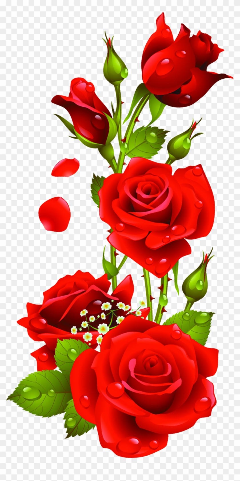 Red Roses Vector, Kyrmyzy Gul Png Resimler, Png Kyrmyzy - Rose Png #316127