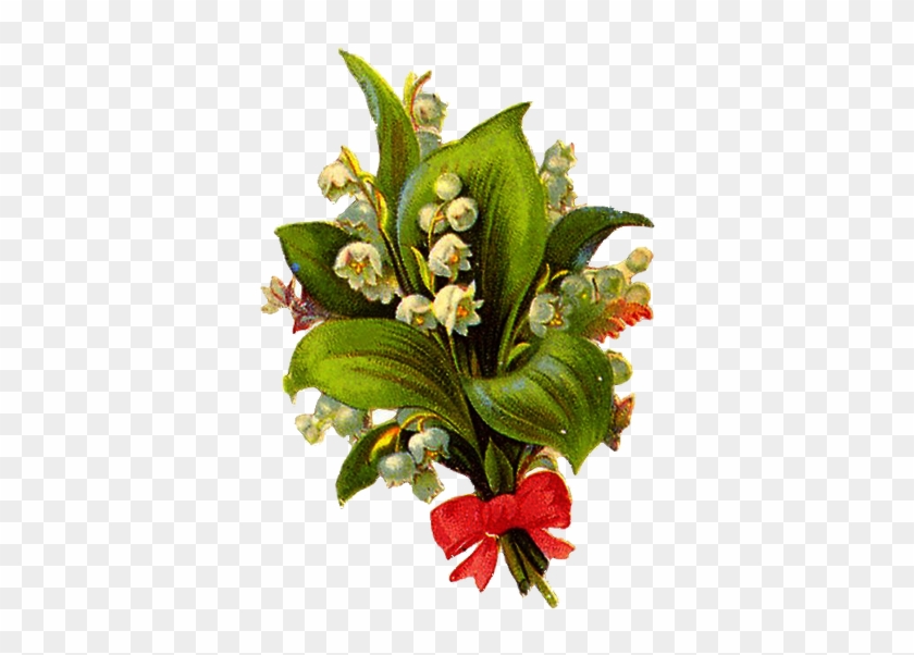 Excellent Vine Flower Bouquet Png Isolated Transpa - Portable Network Graphics #316151