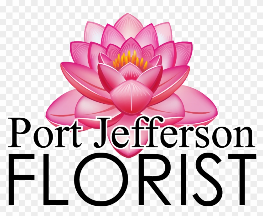 Port Jefferson Florist - Lily Pad Flower Clipart #316180