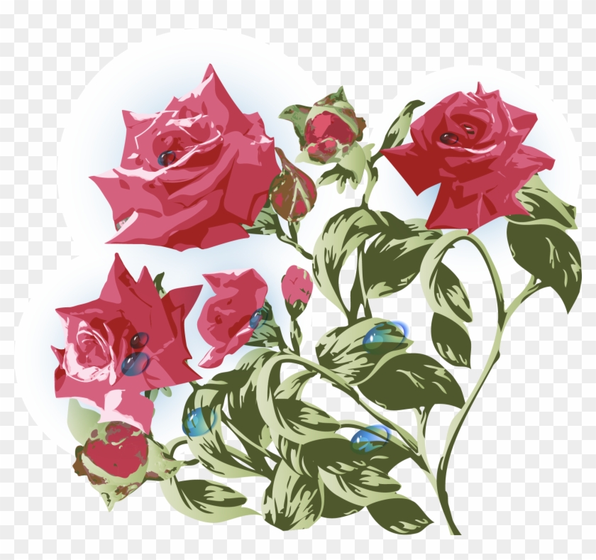 Garden Roses Beach Rose Centifolia Roses Flower - Vintage Flowers Vector Png #316207