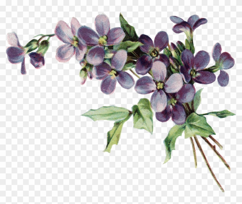 Flower Backgroundsflower Vintagefaux Flowerspansiesvintage - Vintage Violet Drawing #316226