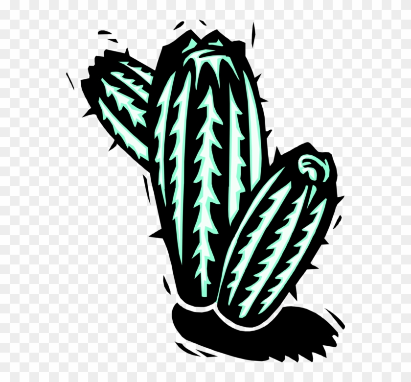 Transparent Cactus Vector Png - Vector Png Cacto, Png Download