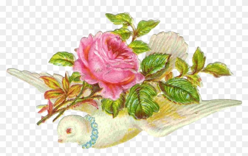 Vintage Flower Clipart Vintage Bird - Dove With Pink Rose #316324