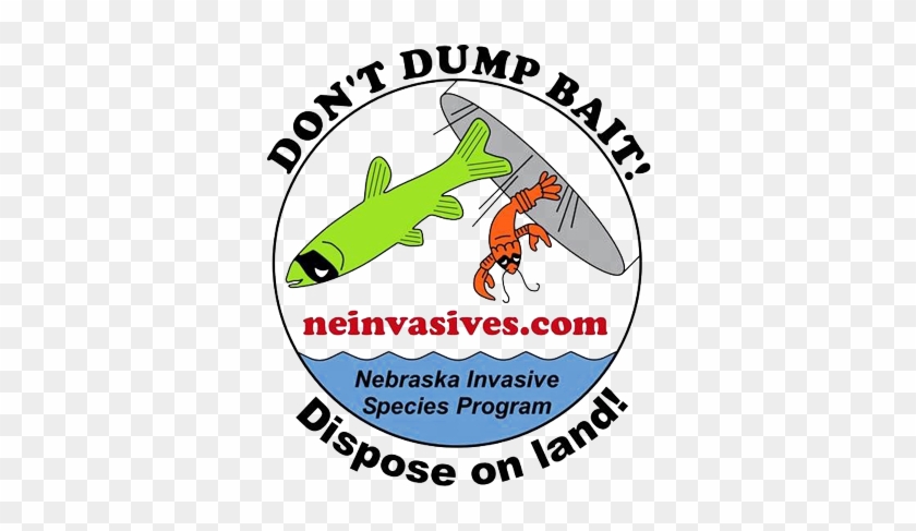 Aquatic Invasive Species Are Being Introduced By The - Don T Dump Bait #316360