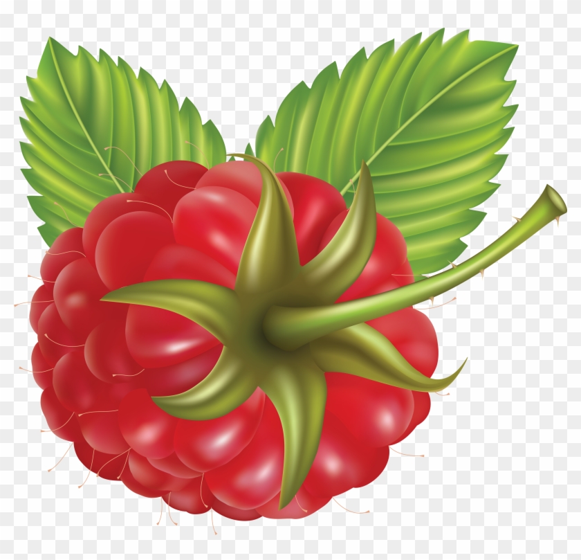 Large Raspberry Transparent Png - Vector #316472