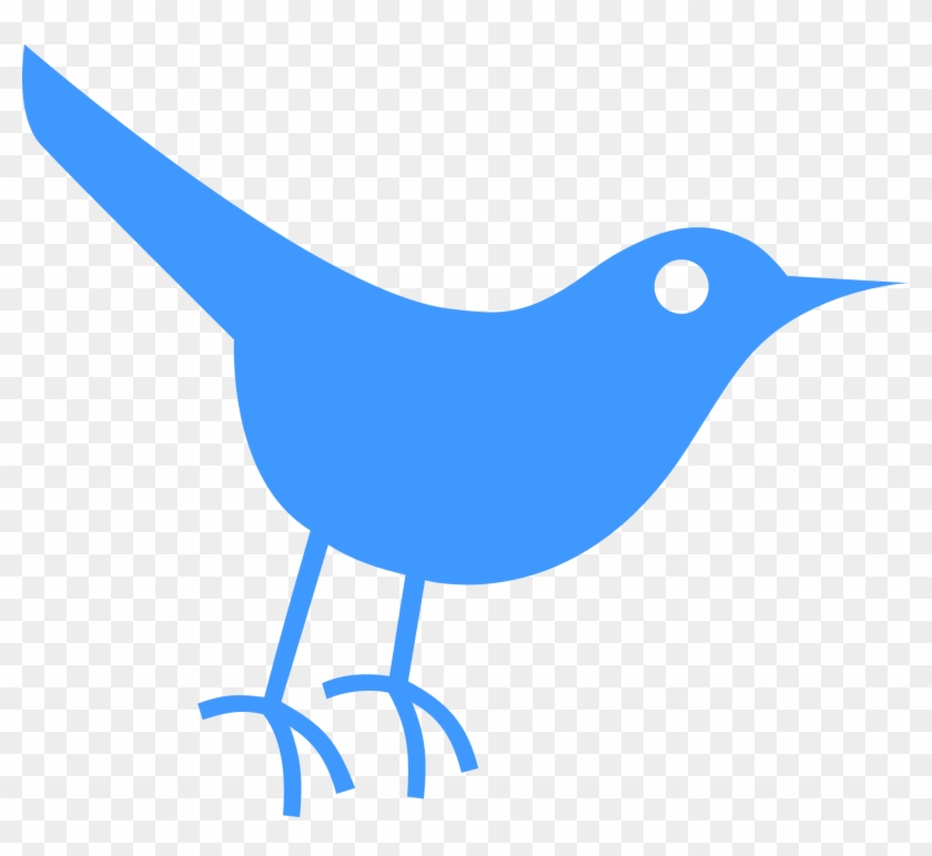 Twitter Bird Tweet Tweet 44 1969px 63 - Twitter Bird Icon #316494