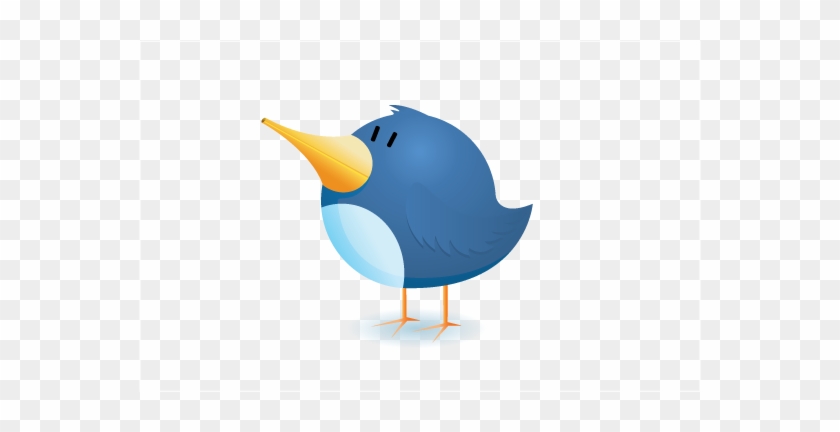 Don ' T Let The Cute Cartoon Bird Fool Clipart - Bird Logo No Background #316566