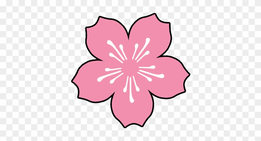 Cherry Blossom Pink - Nokia #316646