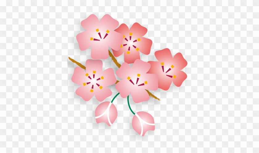From フリー 素材 桜 Free Transparent Png Clipart Images Download