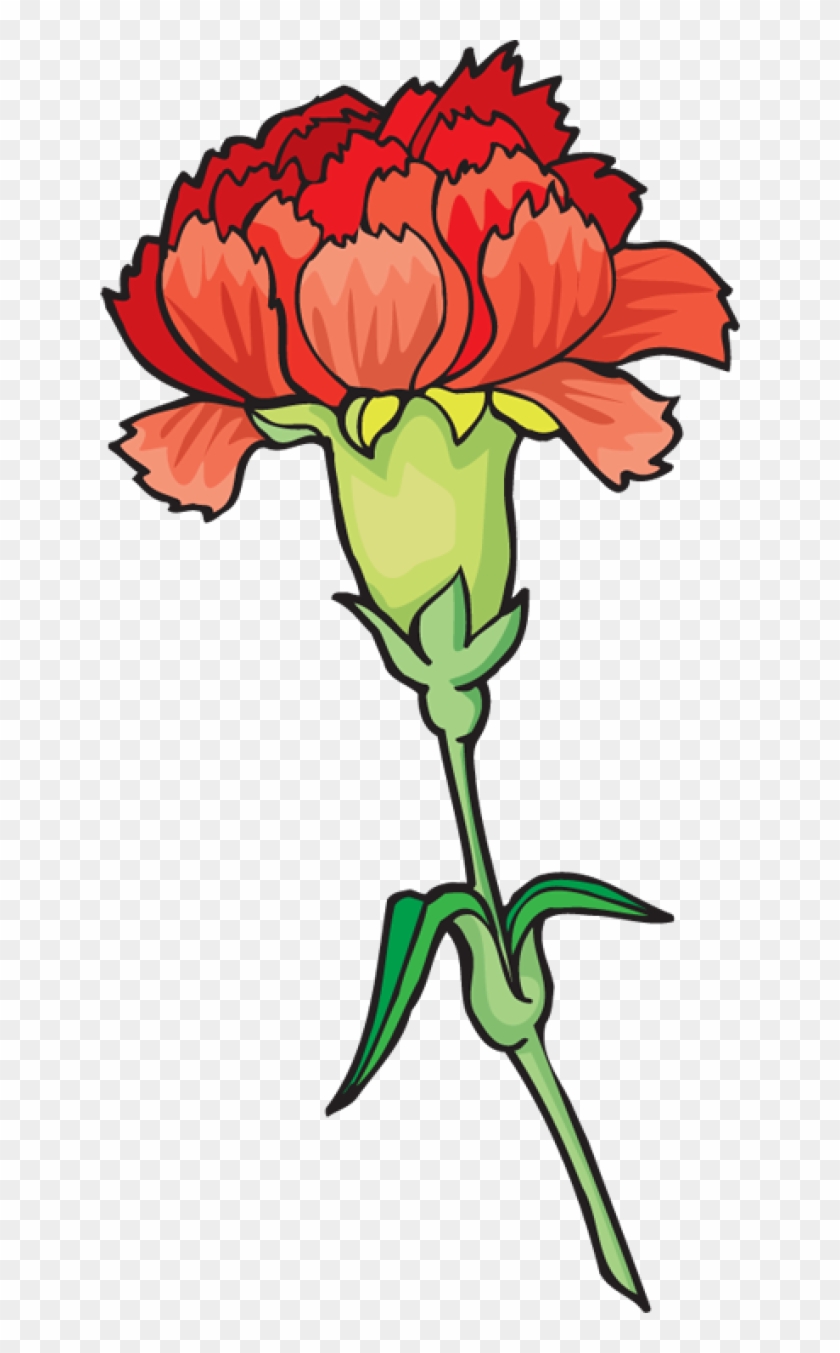 Carnation Flower Cliparts - Carnation Flower Clip Art #316730