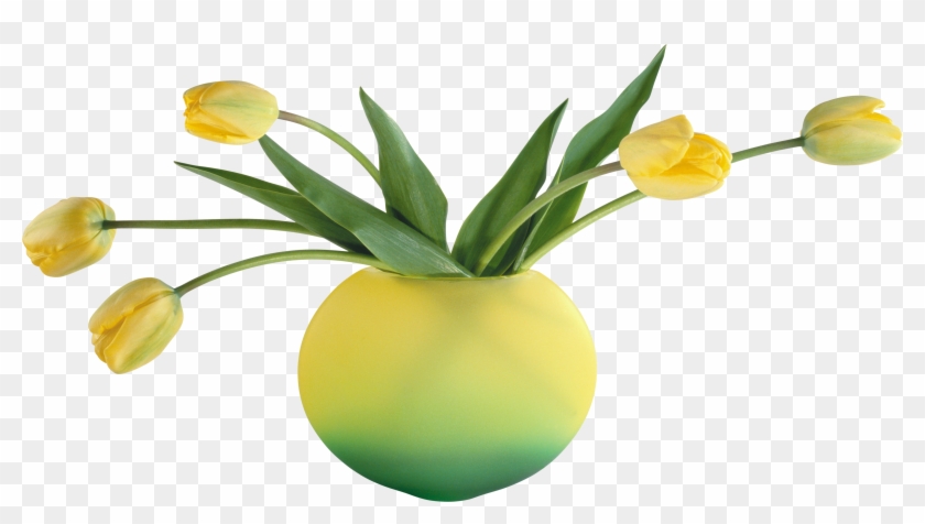 Vase Png - Vase Png #316784