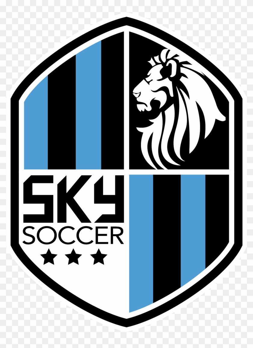 Top Soccer - Sky Soccer Logo #316826