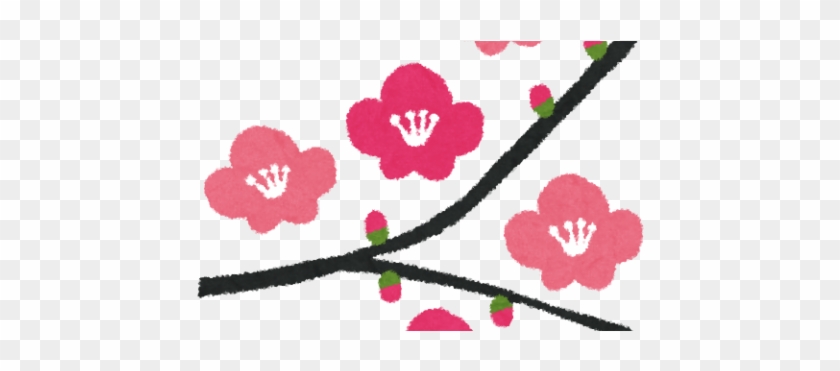 [tokyo] Ume Blossom 2018 Plum Tree - Plum Blossom #316885