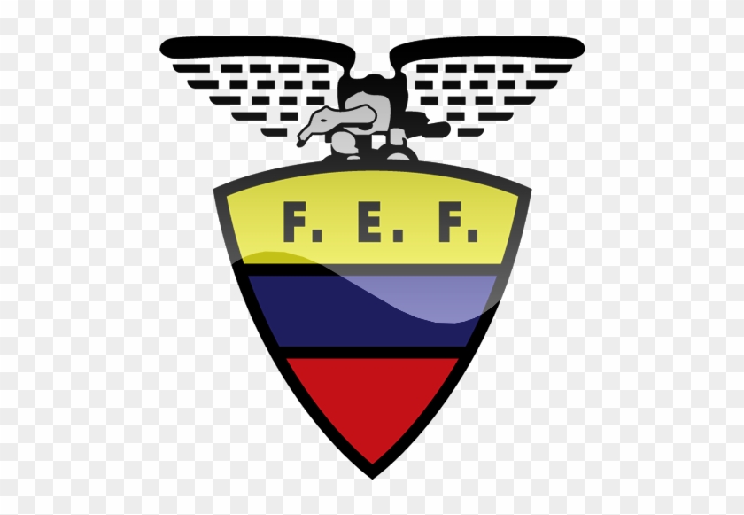 Ecuadorian Football Federation #317073