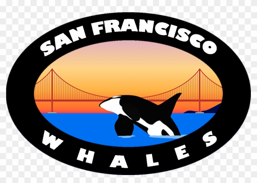 California Whales Logos - Circle #317141