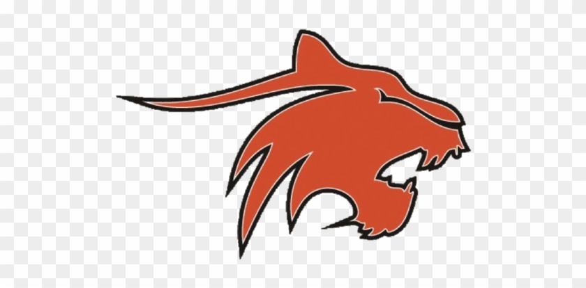 1480 Wcns Provides Live Coverage Of Greater Latrobe - Greater Latrobe Wildcats Logo #317247