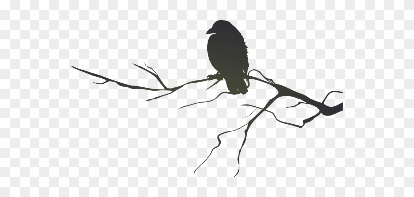 Bird On Branch Clipart Silhouette - Raven On A Branch Silhouette #317492