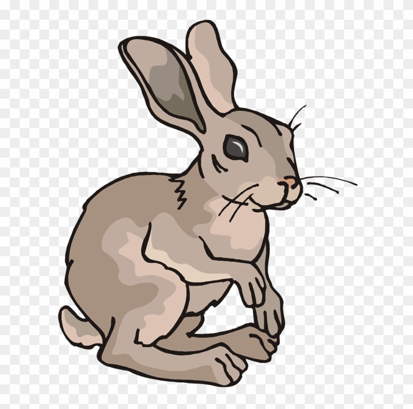 Arctic Hare Rabbit Cartoon Clip Art Arctic Hare Rabbit Cartoon Clip Art Free Transparent Png Clipart Images Download