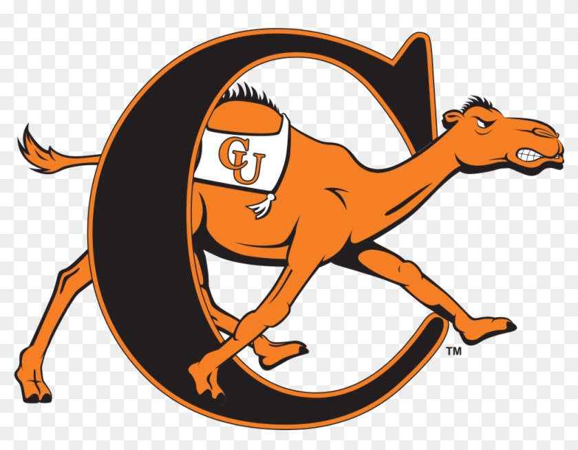 9dcg2w - Campbell Fighting Camels And Lady Camels #317638