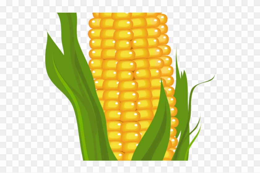 Ear Of Corn Clipart - Sweetcorn Clipart #317675