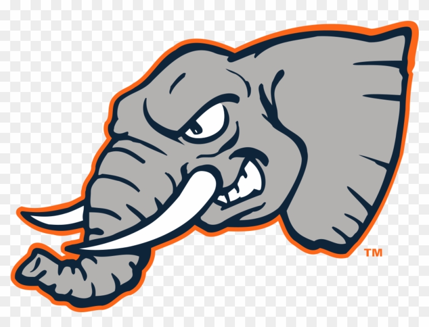 C3tnks - Cal State Fullerton Titans #317699