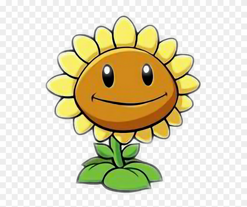 Planta Amarillo Verde Girasol Juego Sol Kawaii Cafe - Plants Vs Zombies Plants #318123