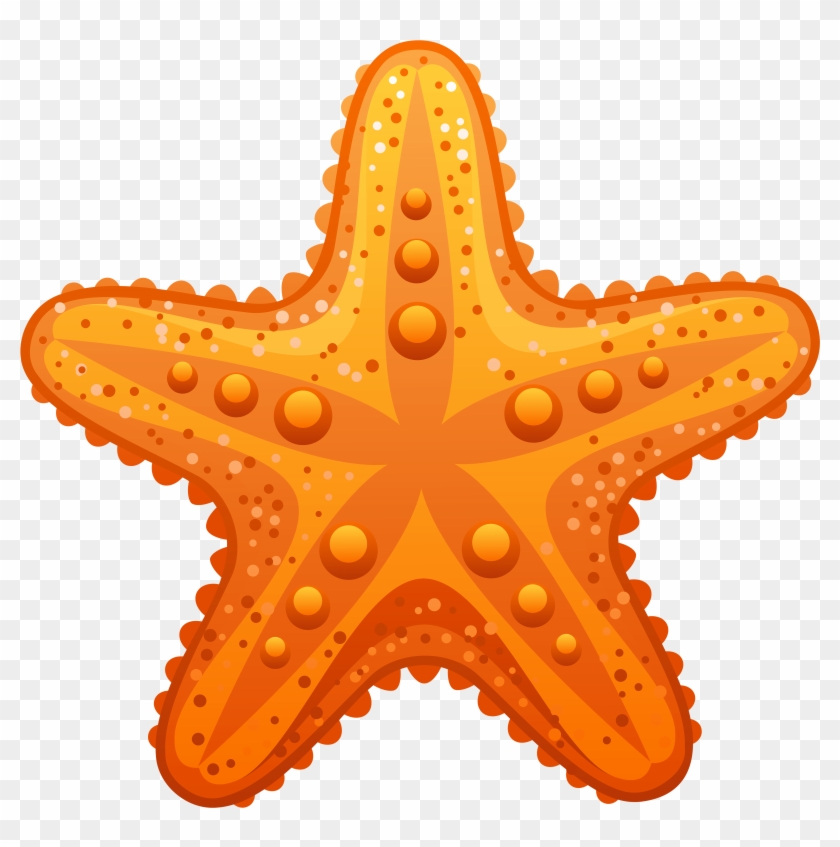 Clip Art Starfish Png #318389