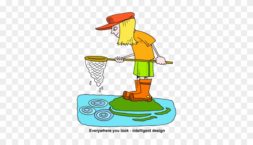 Image - Fishing Net Clip Art #318390