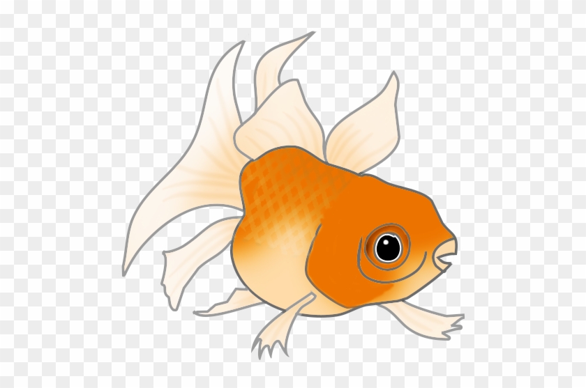 Fish Clip Art - Bufo #318394