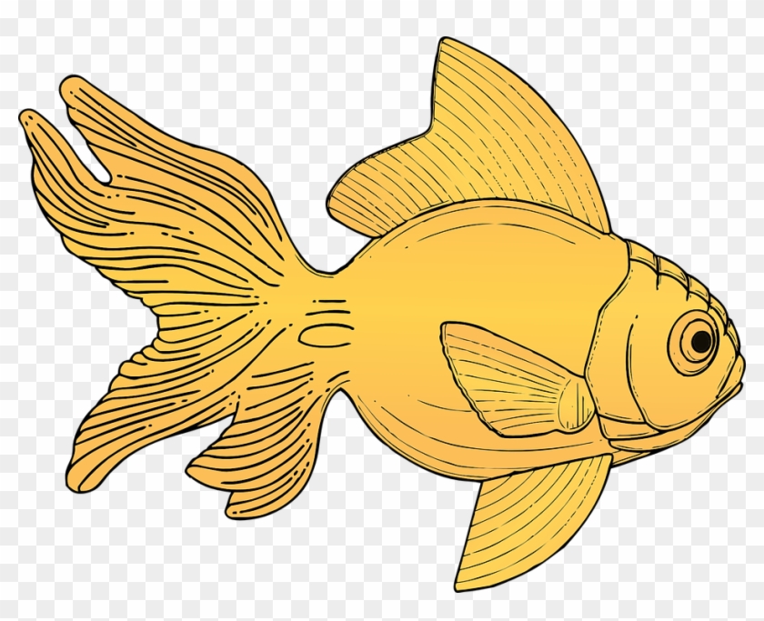 Goldfish Cliparts Girl 12, - Gold Fish Clipart #318395