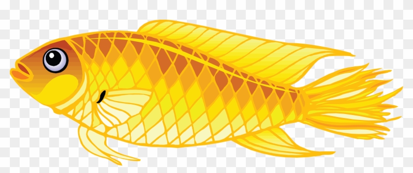 Gold Fish Clipart Different Fish - Transparent Background Fish Clip Art #318411