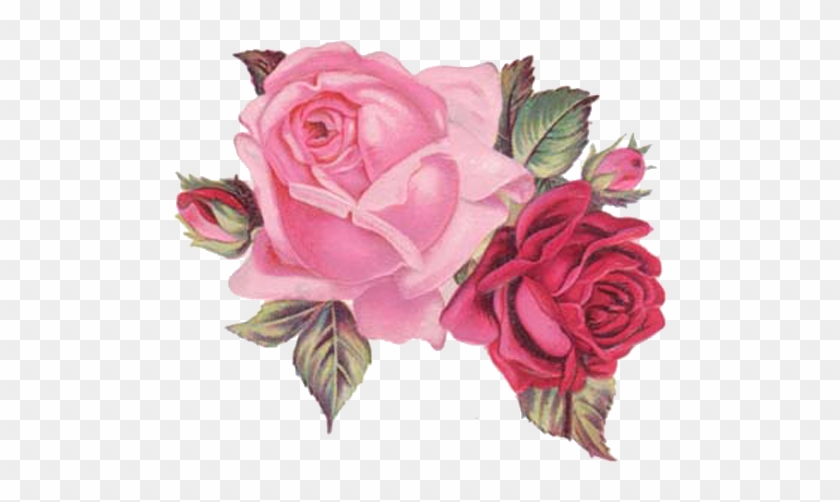 Vintage Flowersart - Viktorianische Winter-rosen Danken Ihnen Zu Karte #318416