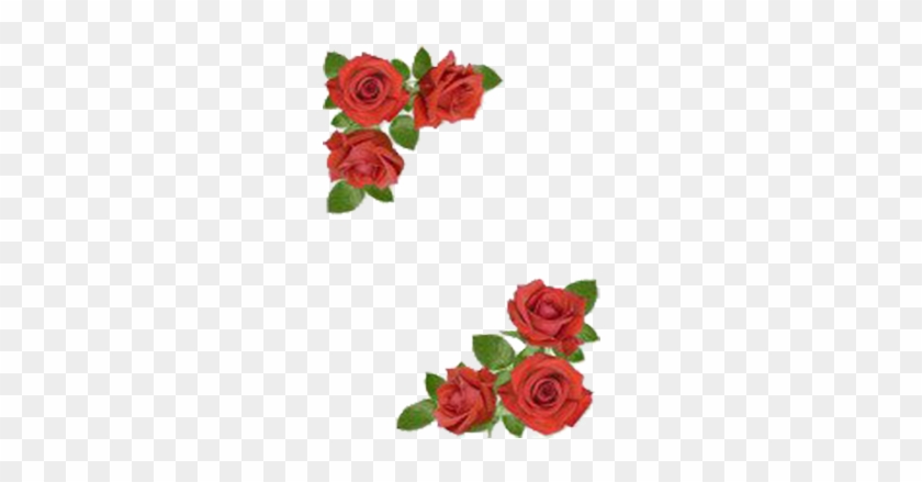 Rose Flower Floral Design Clip Art - Rose Flower Floral Design Clip Art #318732