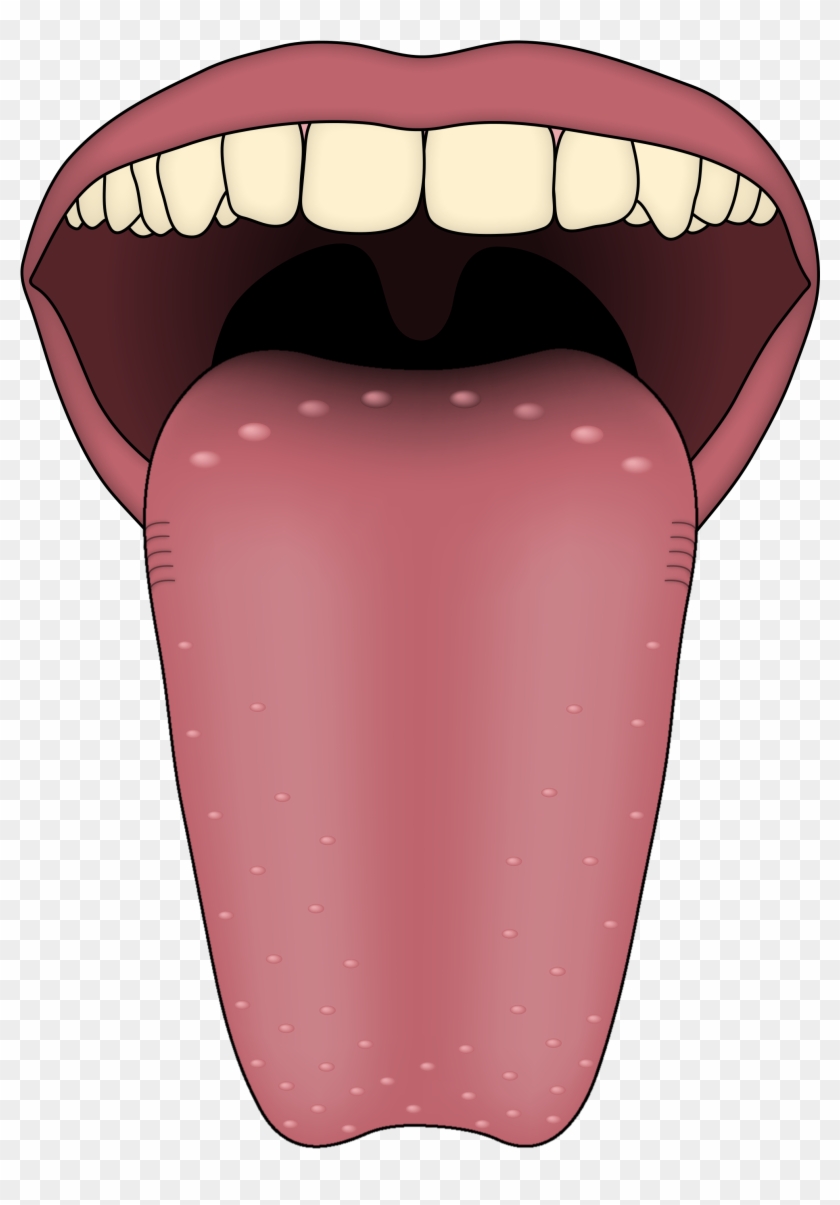 Sense Organs Tongue Clipart #319046