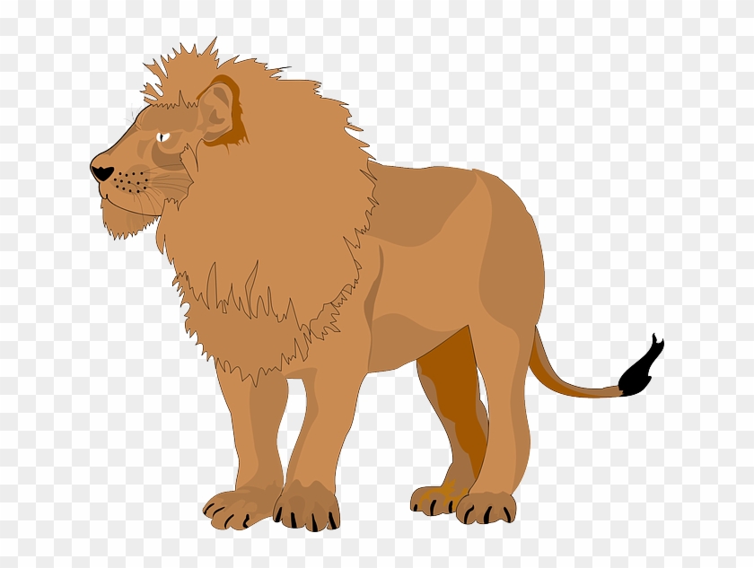 棕色, 骄傲, 狮子, 动物, 尾巴, 鬃毛 - Brown Lion Clipart #319337