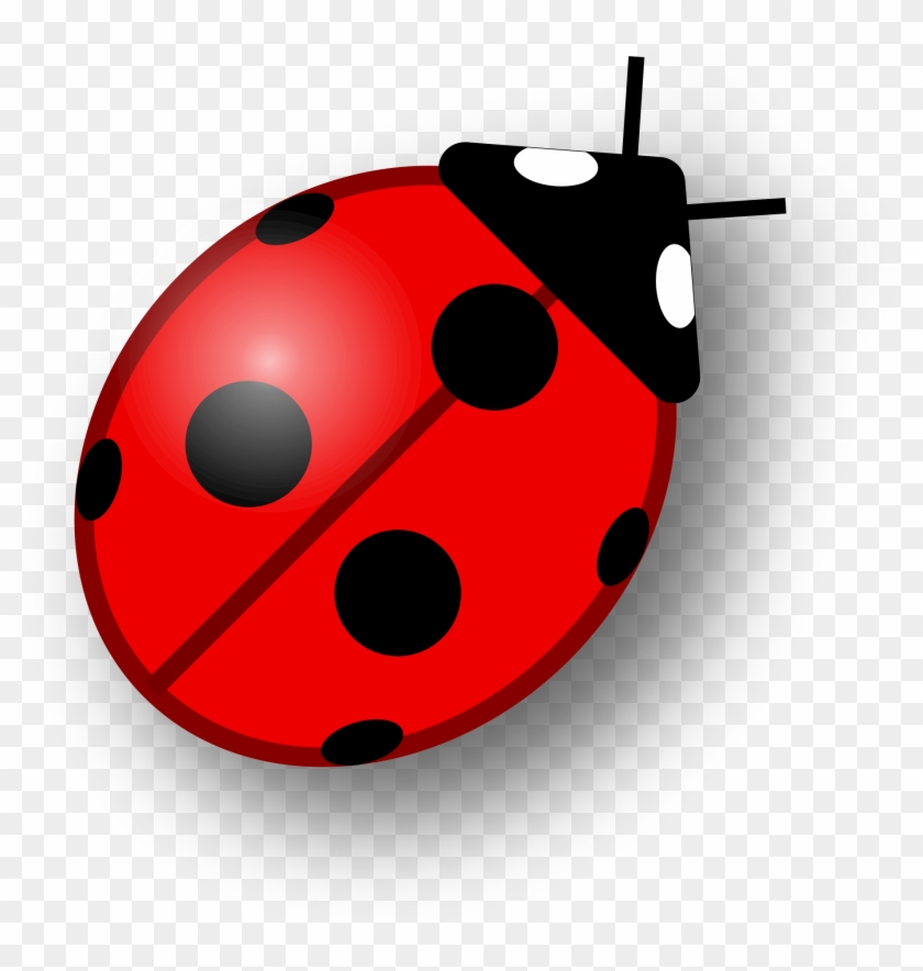 Ladybug For Clipart Ladybug On Leaf 15lptgx - Ladybug For Clipart Ladybug On Leaf 15lptgx #319840