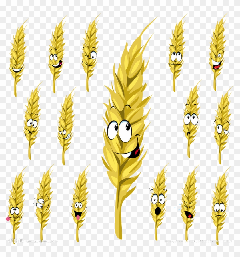 Wheat Cartoon Drawing Stock Illustration - Wheat Cartoon Drawing Stock Illustration #319957
